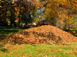 Grabie Beast tworzywo sztuczne do liści trawy 58cm