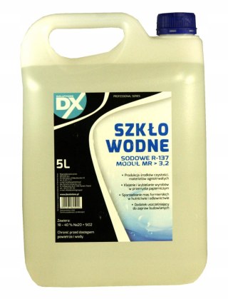 SZKŁO WODNE 5L DX SOLUTIONS