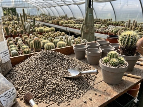 Pumeks 3-8 mm Mineralne Podłoże do Kaktusów Sukulentów BIMS PEMZA 20L